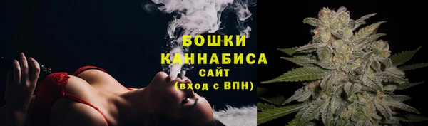 мдма Новозыбков