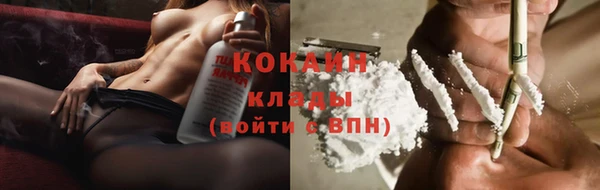 первитин Новодвинск