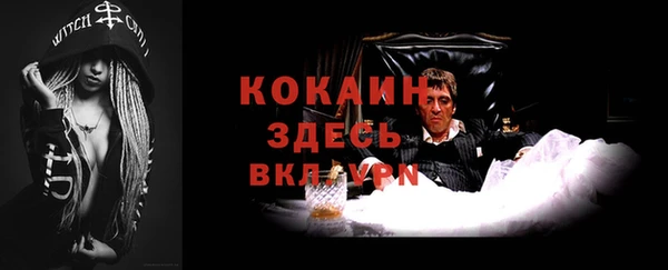 первитин Новодвинск