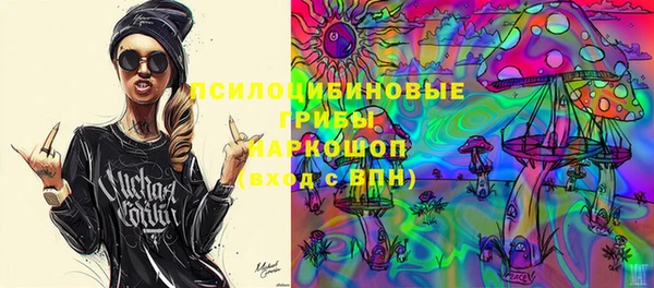 мдма Новозыбков