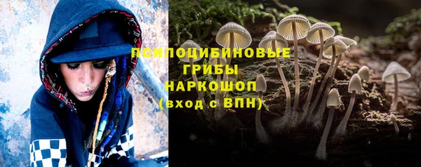 первитин Новодвинск