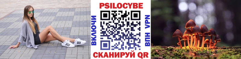 мега онион Северская Псилоцибиновые грибы мухоморы цены наркотик